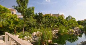 Altissima Al Barari